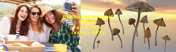 круглые Белокуриха