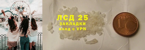 ГАЛЛЮЦИНОГЕННЫЕ ГРИБЫ Слюдянка