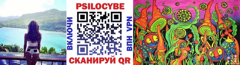 Псилоцибиновые грибы Cubensis  гидра ссылки  Купино 