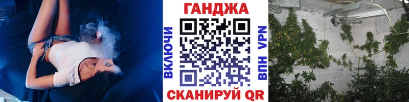 Бошки марихуана сатива Купино